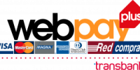 logo-web-pay-plus-300x135-1