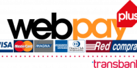 logo-web-pay-plus-300x135-1
